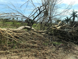 Help Our Village Panchanathikulam Recover From Cyclone Gaja's