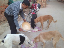 Do support 300+ dogs' medical needs & care by donating to us