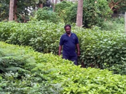 Help Saranalayam Charitable Trust Grow more Plants