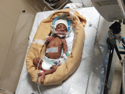 Donate to help My Twins Babies Survive!