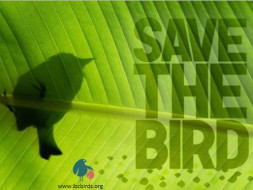 Join Us To Save Indian Native Birds