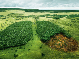 Towards Green Bengaluru
