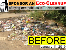 Sponsor an Eco-Cleanup of dying eco-habitats in Tiruvannamalai