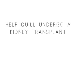 Help Quill Undergo A Kidney Transplant