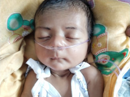 Help A One Month Old Baby Survive