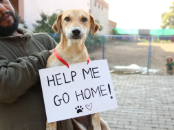 Send August home!
