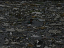 One step against "POLLUTION"