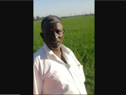 Help Ravi Undergo Liver Transplant