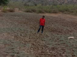 Help Me Save Wild Animals