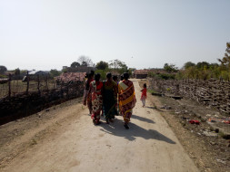Help Build A Library In Tandbodi