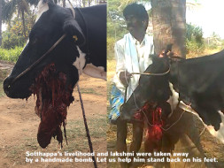 Support Sotthappa Gowda Stand Back On His Feet