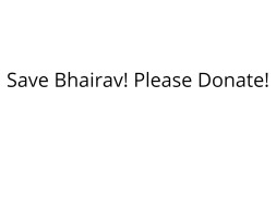 Save 'BHAIRAV', Please Donate and Save His Life.