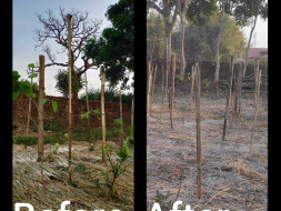 Funds required to conserve Miyawaki Forests from Animal Attacks
