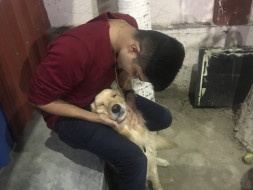 Help Me Feed Innocent Animals