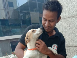 Support Awaaz In Helping Stray Animals