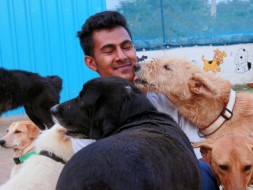 Support Haris Ali to rescue more animals in need