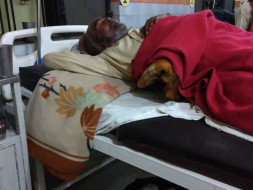 Help My Dad Undergo Kidney Treatment.