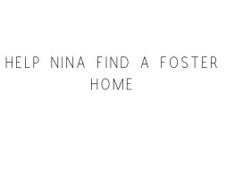 Help Nina Find A Foster Home