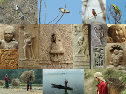 Creating Video History/ Documentation of Indian Culture