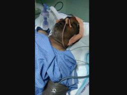 Help My Father Recover From Paralysis