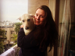 Help My Friend Bring her Dogs Back