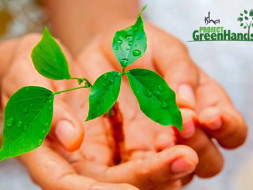Plant Trees with Project GreenHands!
