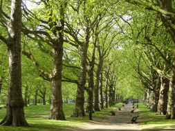 Lets Us Keep Our City Green