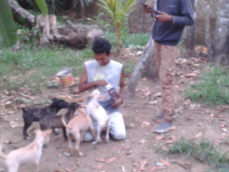 Cherai Tails -empowering pups for life.
vaccinate- sterilise-home