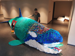 SAVE OCEAN AWARENESS CAMPAIGN IN CHENNAI - KILLER WHALE