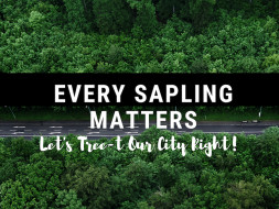 Let's Tree-t our city right!