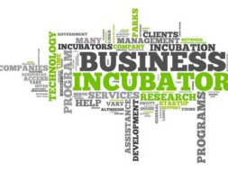 Support This Incubation Center for Poor