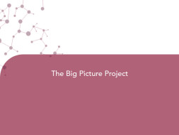 The Big Picture Project