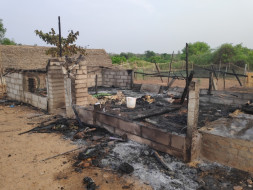 Help myHarvest team rebuild the farm (damaged by fire)