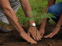 Help Us on our mission of Afforestation