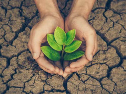 Support us to buy & plant more trees Because It will help us in future