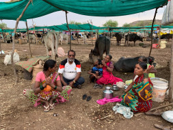 Help farmers in severe drought condition of Maharashtra