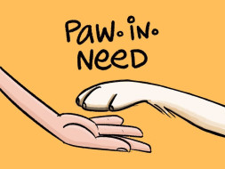 Help stray to get vaccinated