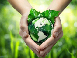 Go Green Initiative- Plant a Tree Sapling