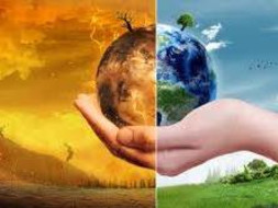 Help To Save Tree & Fight Global Warming