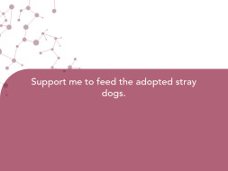 Support me to feed the adopted stray dogs.