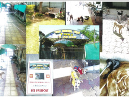 HELP US BUILD A SHELTER HOME FOR STREET DOGS AND BIRDS.