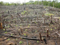 Help us to save Earth