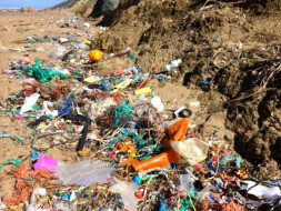 Help protect the Environment, Animals for Welfare