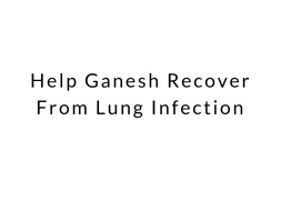 Help Ganesh Recover From Lung Infection
