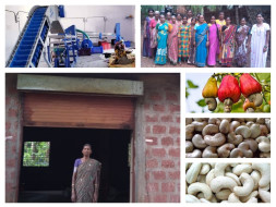 Women Empowerment: Help Enable to Earn Unemployed Villager Women's.