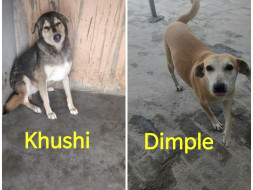 Help Dimple and Khushi have second chance at life