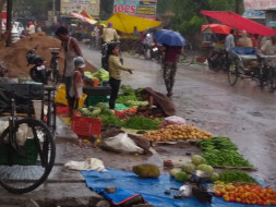 Help farmers from rain