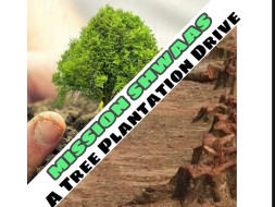 Plantation Drive