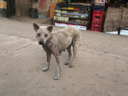 HELP ME FEED THE HUNGRY AND SAVE MORE LIVES