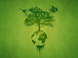 GREEN INDIA FOUNDATION